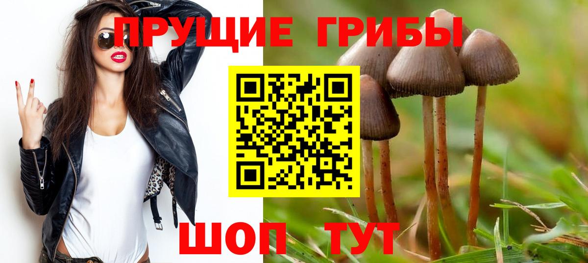 Галлюциногенные грибы MAGIC MUSHROOMS Асбест