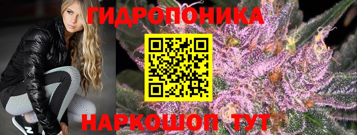 Каннабис марихуана  Конопля план  Марихуана White Widow  Бошки марихуана AK-47  Асбест  Вход с VPN 